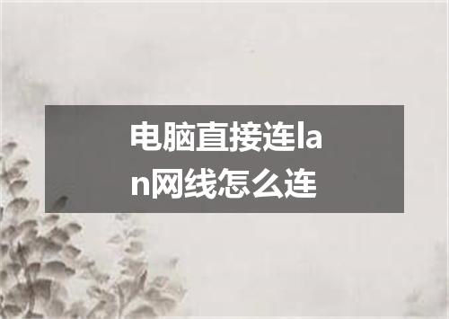电脑直接连lan网线怎么连