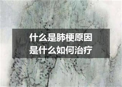 什么是肺梗原因是什么如何治疗