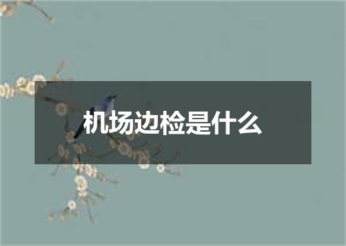 机场边检是什么