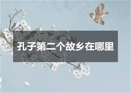 孔子第二个故乡在哪里