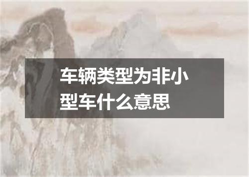 车辆类型为非小型车什么意思