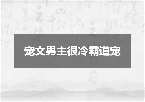 宠文男主很冷霸道宠