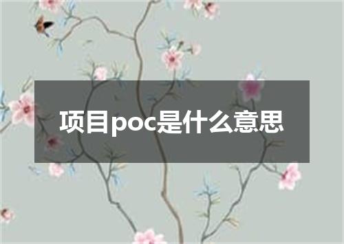 项目poc是什么意思