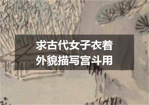 求古代女子衣着外貌描写宫斗用