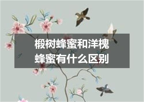 椴树蜂蜜和洋槐蜂蜜有什么区别