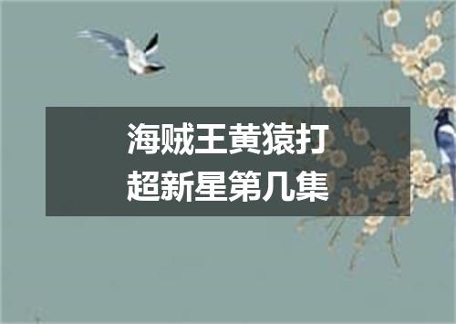 海贼王黄猿打超新星第几集