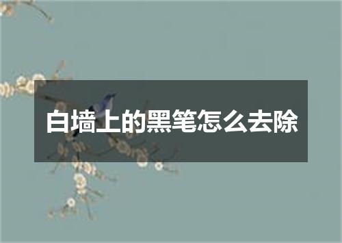 白墙上的黑笔怎么去除