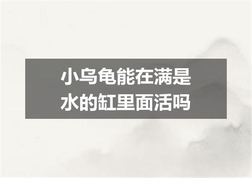 小乌龟能在满是水的缸里面活吗