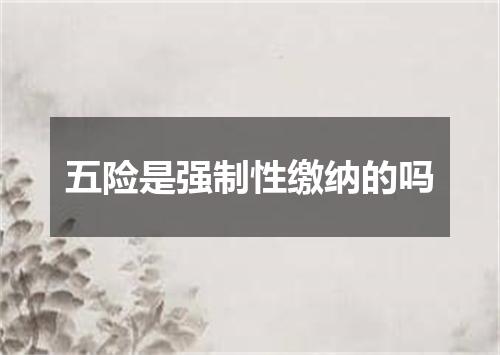 五险是强制性缴纳的吗