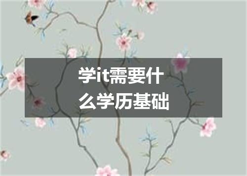 学it需要什么学历基础