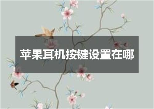 苹果耳机按键设置在哪