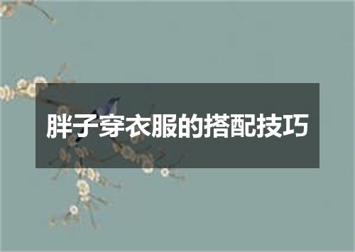 胖子穿衣服的搭配技巧