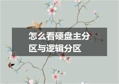 怎么看硬盘主分区与逻辑分区