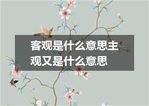 客观是什么意思主观又是什么意思