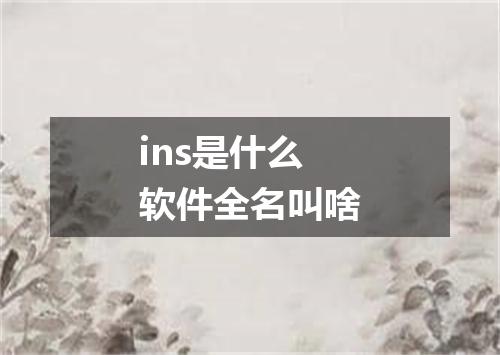 ins是什么软件全名叫啥