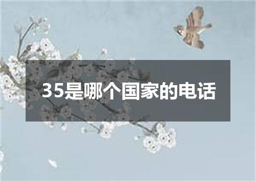35是哪个国家的电话