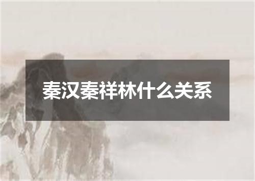秦汉秦祥林什么关系