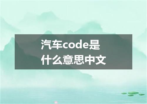 汽车code是什么意思中文