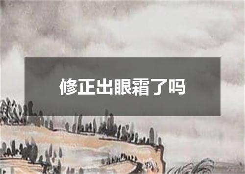 修正出眼霜了吗