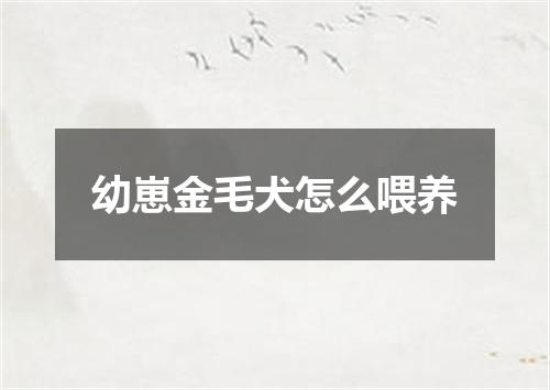 幼崽金毛犬怎么喂养