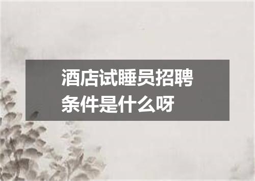 酒店试睡员招聘条件是什么呀