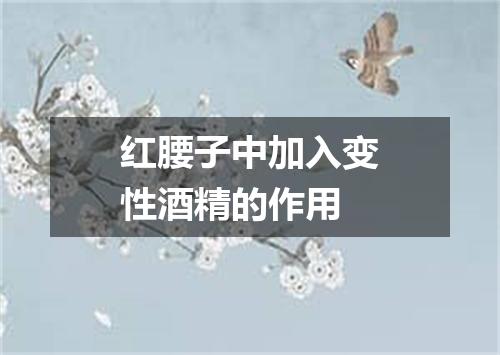 红腰子中加入变性酒精的作用