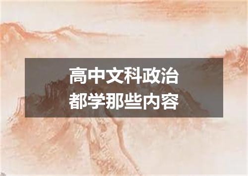 高中文科政治都学那些内容