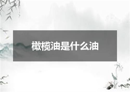 橄榄油是什么油