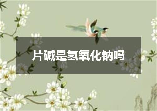 片碱是氢氧化钠吗