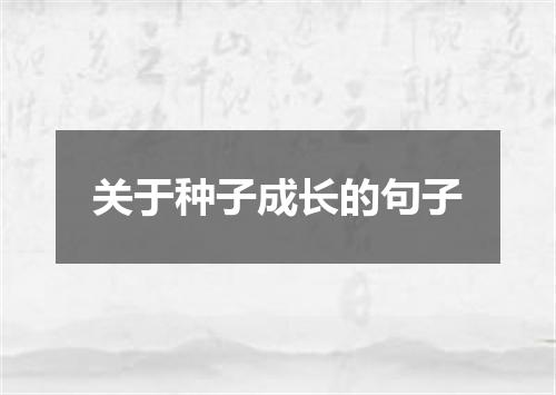 关于种子成长的句子