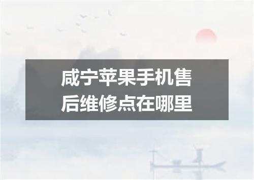 咸宁苹果手机售后维修点在哪里