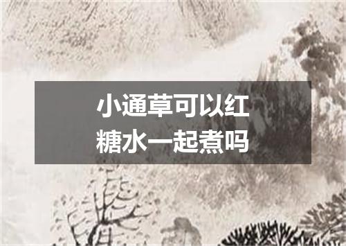 小通草可以红糖水一起煮吗