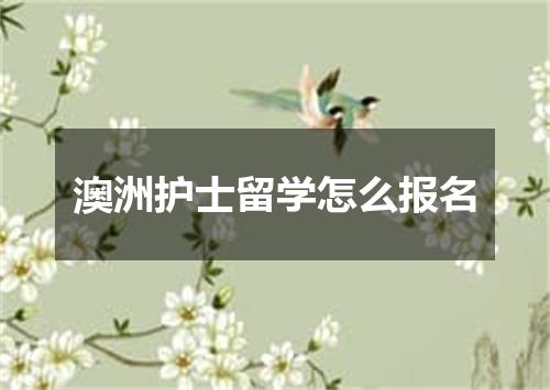 澳洲护士留学怎么报名