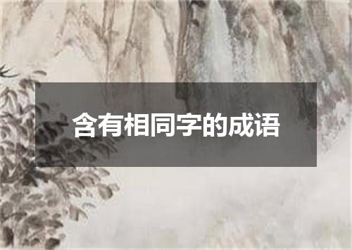 含有相同字的成语