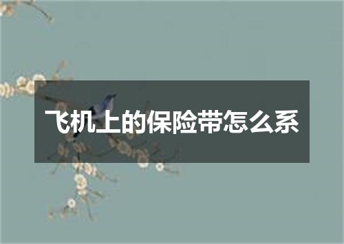 飞机上的保险带怎么系
