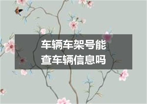 车辆车架号能查车辆信息吗