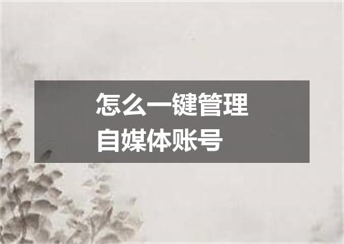 怎么一键管理自媒体账号