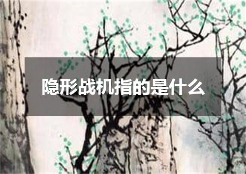 隐形战机指的是什么