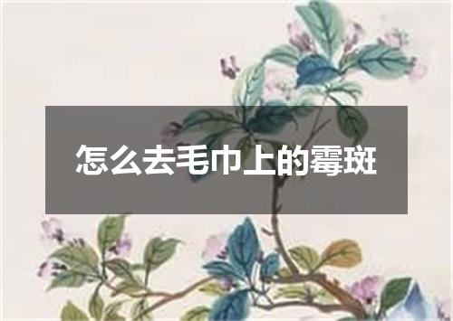 怎么去毛巾上的霉斑