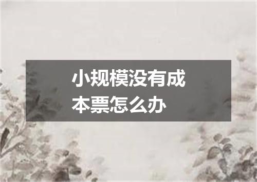 小规模没有成本票怎么办