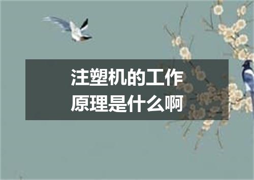 注塑机的工作原理是什么啊