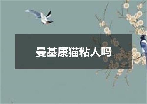 曼基康猫粘人吗