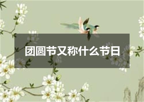 团圆节又称什么节日