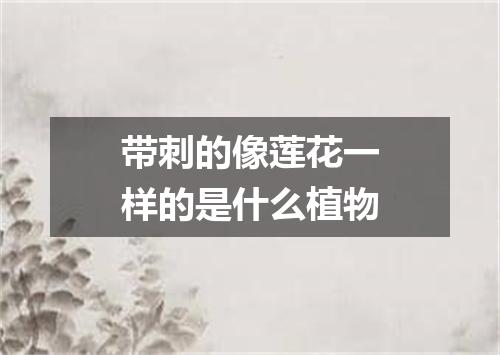 带刺的像莲花一样的是什么植物