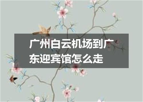 广州白云机场到广东迎宾馆怎么走