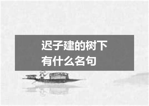 迟子建的树下有什么名句
