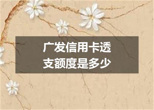 广发信用卡透支额度是多少