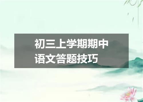 初三上学期期中语文答题技巧