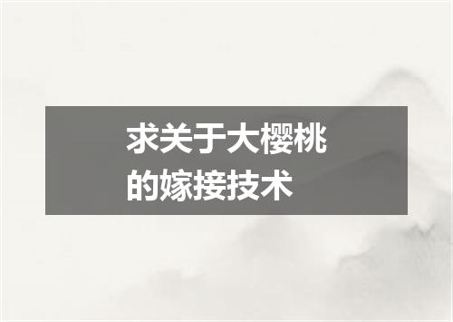 求关于大樱桃的嫁接技术