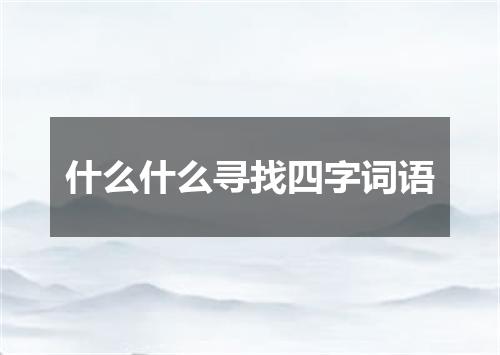 什么什么寻找四字词语